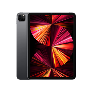 Apple 11-inch iPad Pro (Wi-Fi, 256GB) - Space Gray